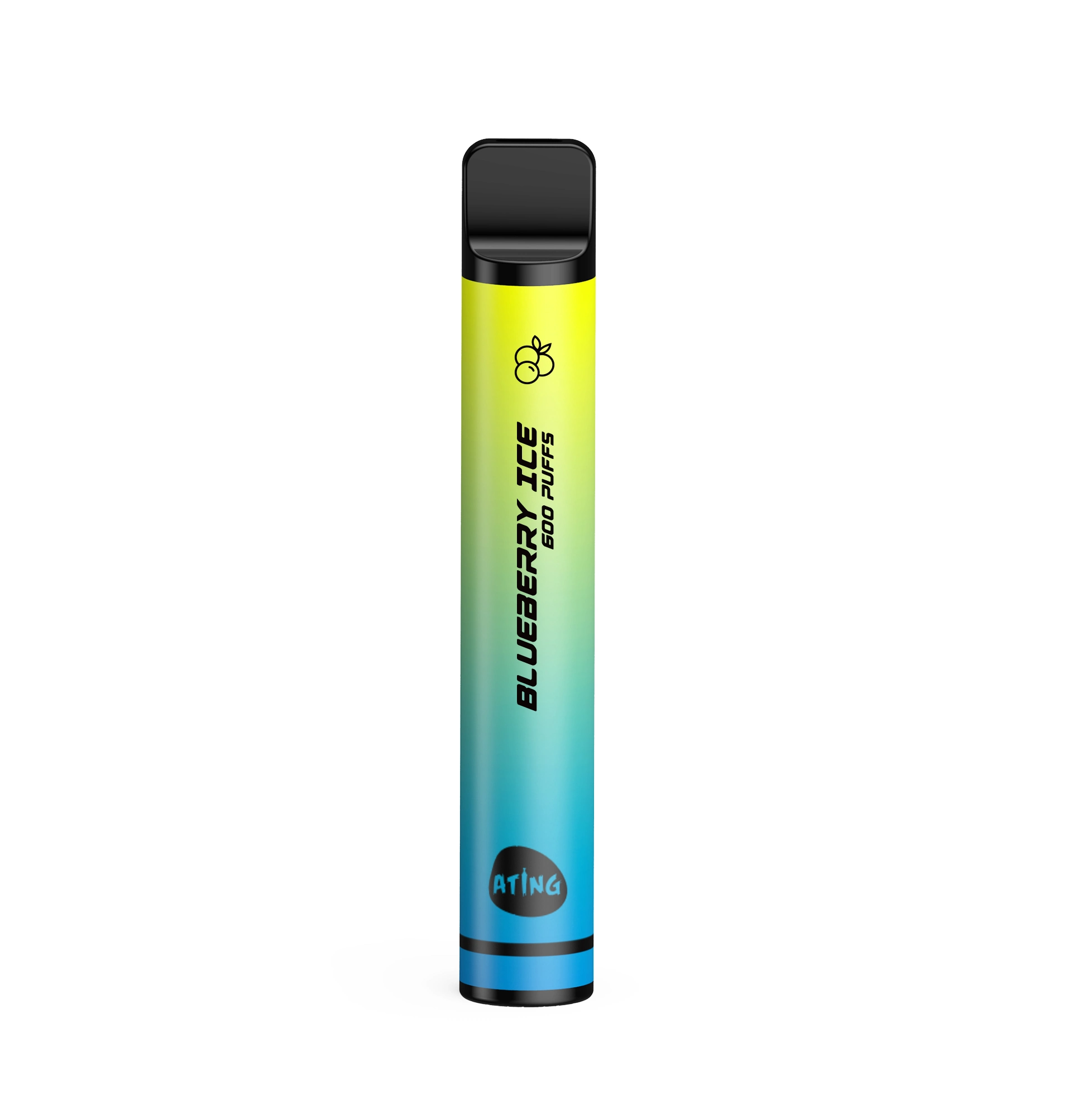 Disposable-Vape-Pen-600-Puffs-Wholesale-E-Cigarette-Germany-Tpd-Vape-Elux-Style-Disposable-Vape (4)